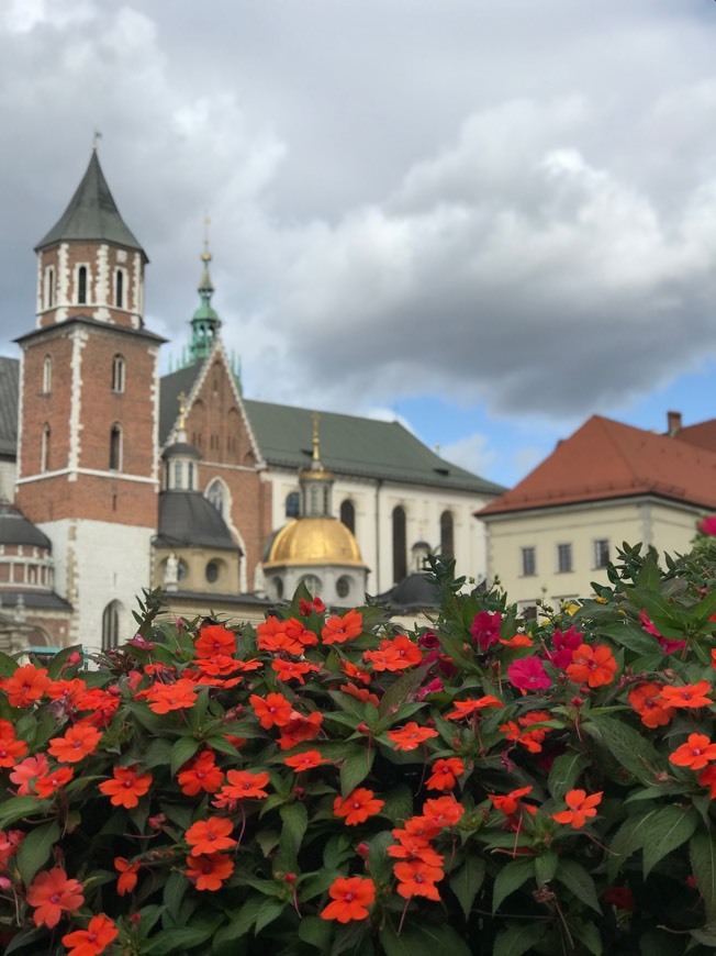 Place Castillo de Wawel