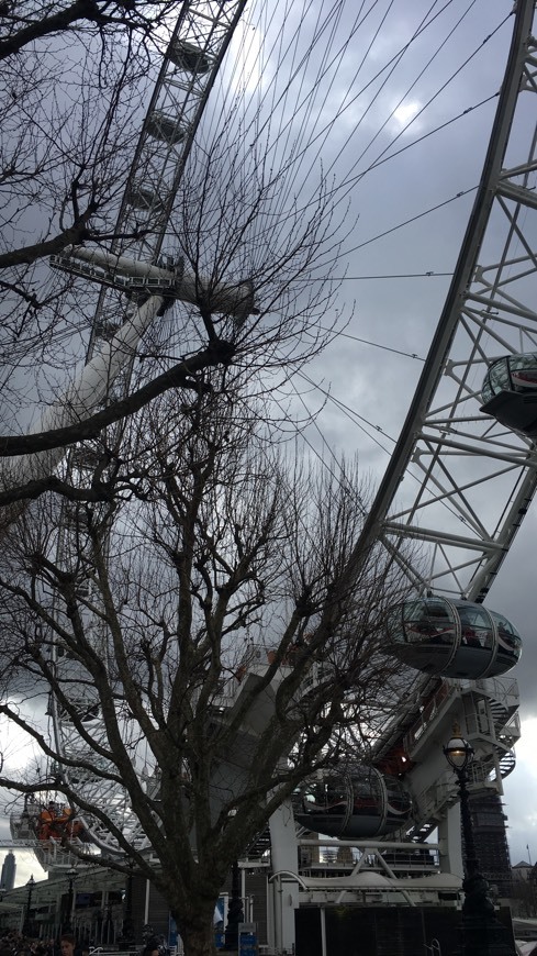 Place London Eye