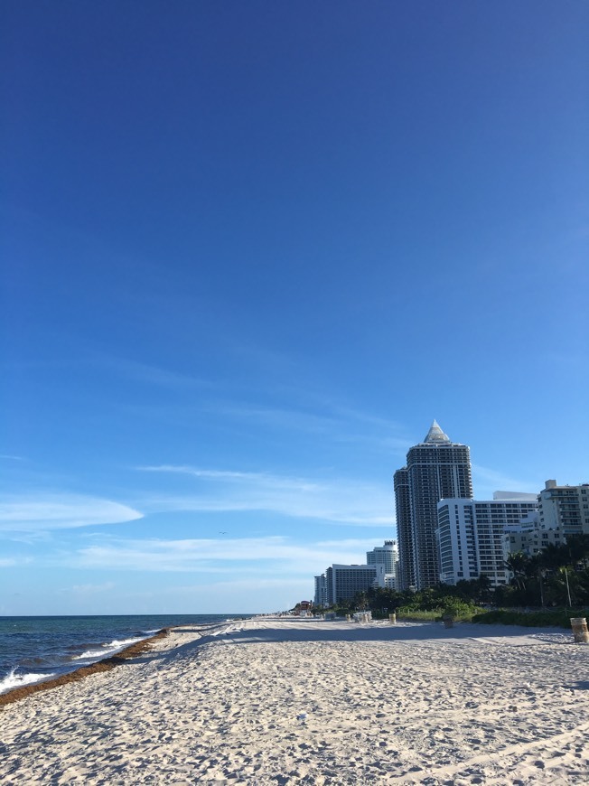 Place Oceanfront Hotel Suite