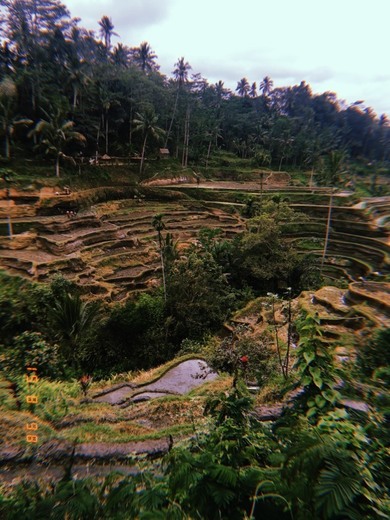 Jalan Raya Kedisah