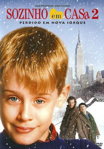 Película Solo en casa 2: Perdido en Nueva York