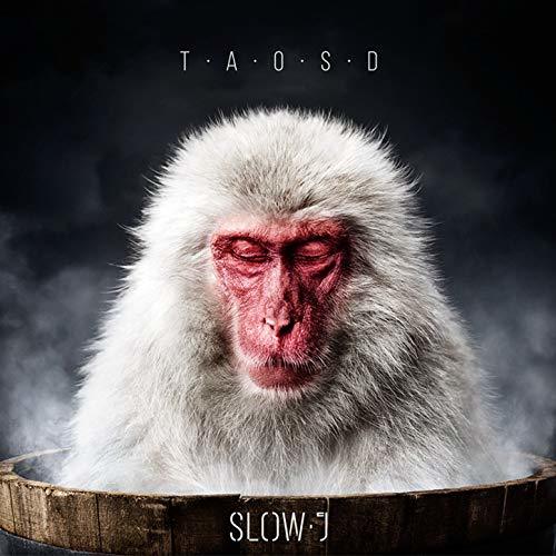 Slow j - Biza