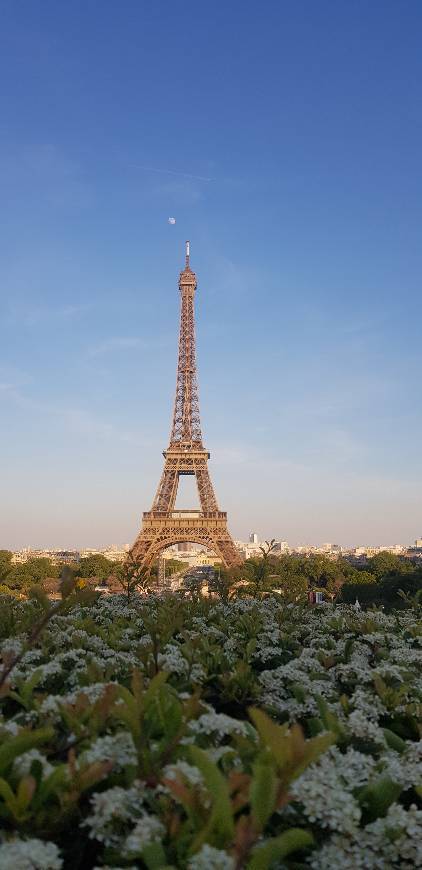 Place París