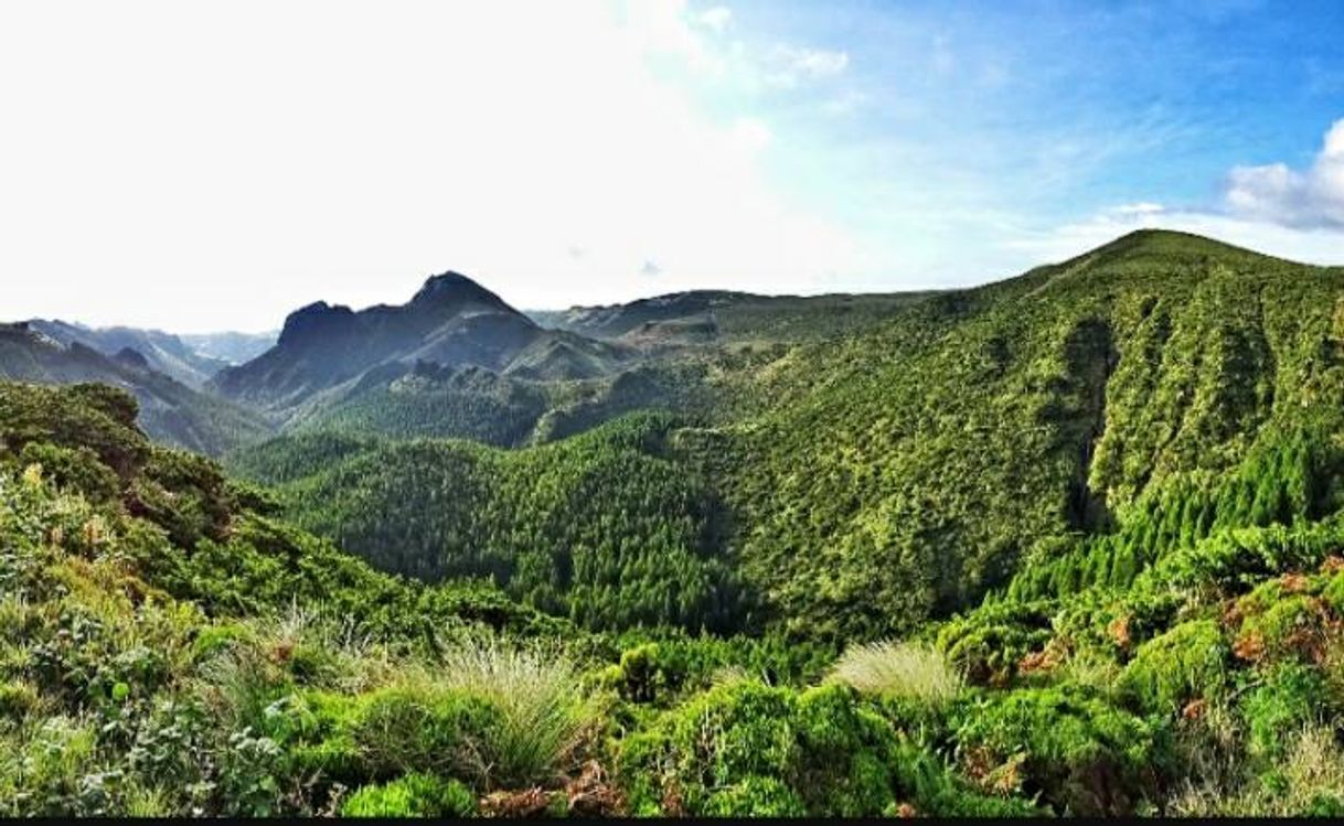 Lugar Morro Alto