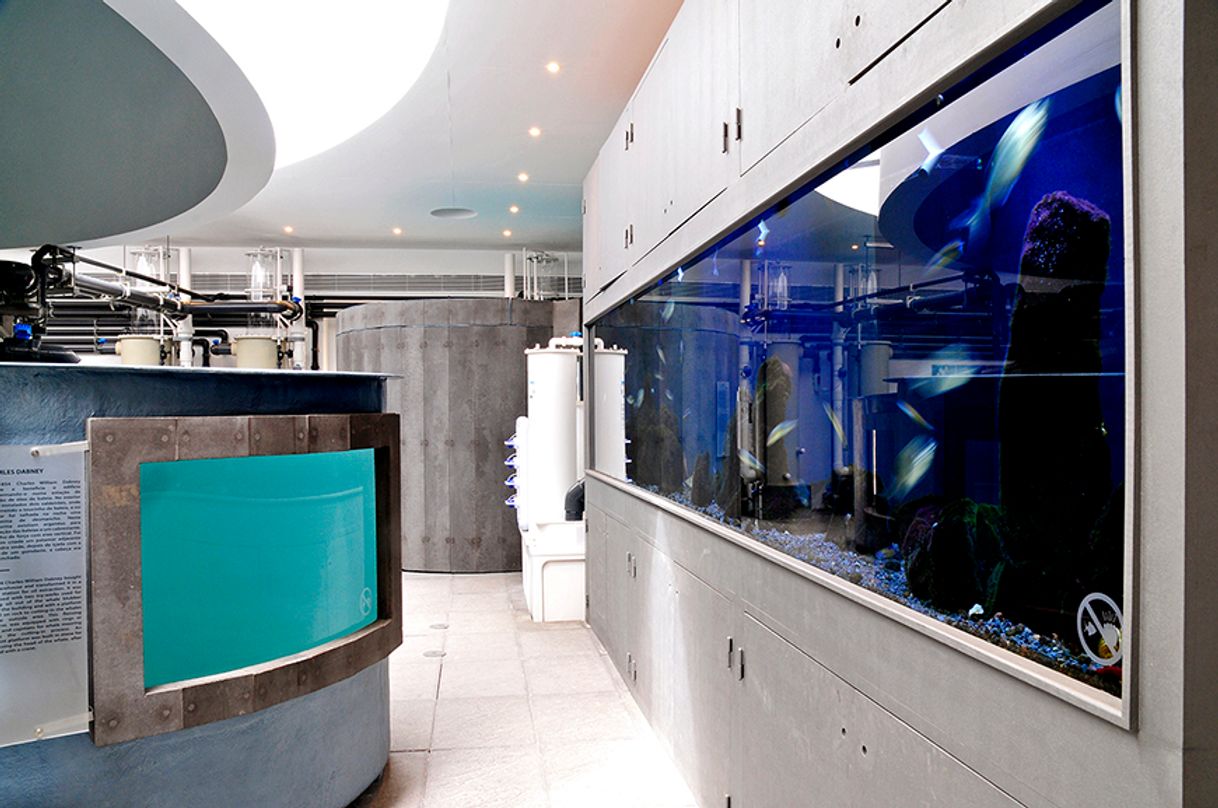 Lugar Estação de Peixes Vivos // Aquário do Porto Pim