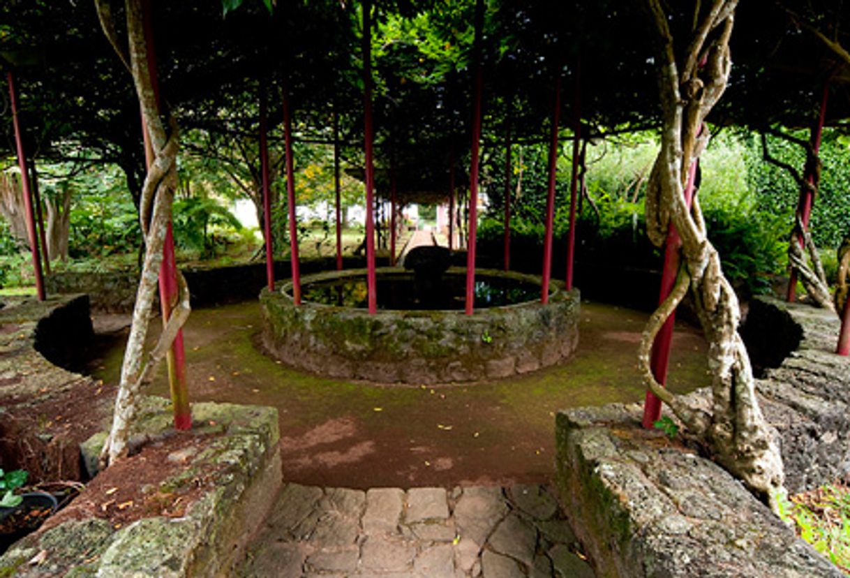 Lugar Faial Botanical Garden