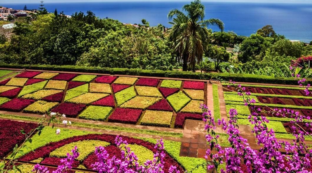 Place Jardín Botánico de Madeira