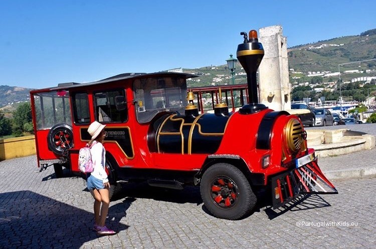 Lugar Passeio Panorâmico de Comboio no Peso de Régua 