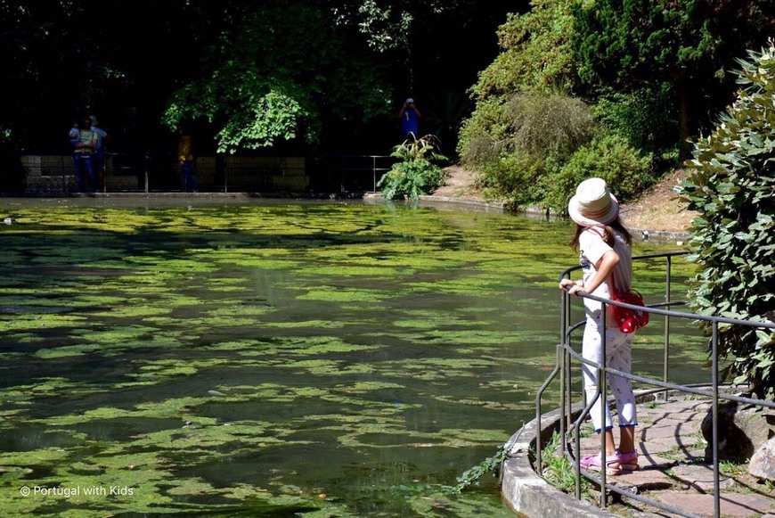 Lugar Parque de Serralves