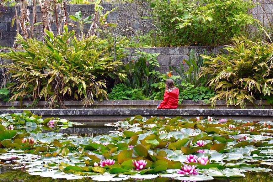 Place Jardín Botánico de la Universidad de Oporto