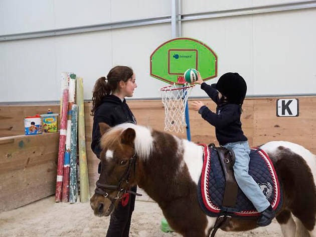 Lugar Pony Club do Porto