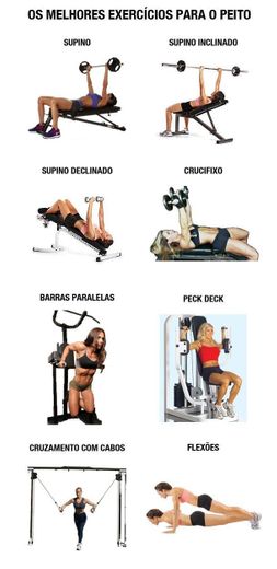 Exercícios gym