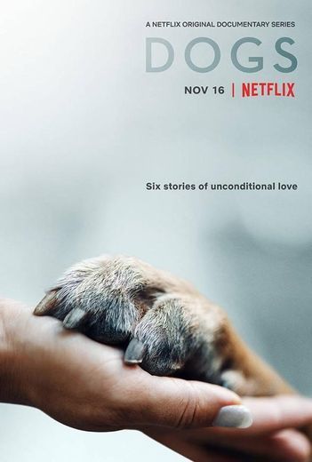Dogs | Netflix Official Site