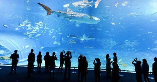 Aquarium de Lyon