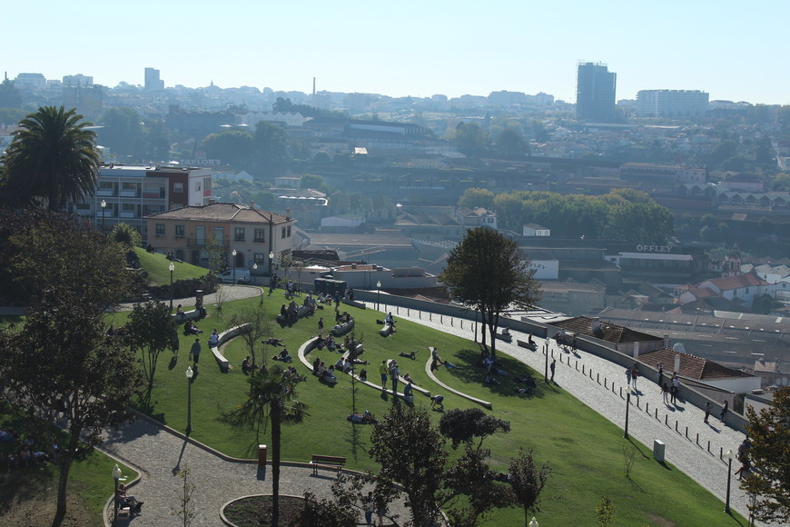 Lugar Jardim do Morro