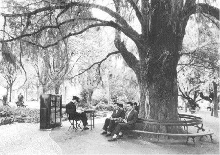 Place Jardim da Parada