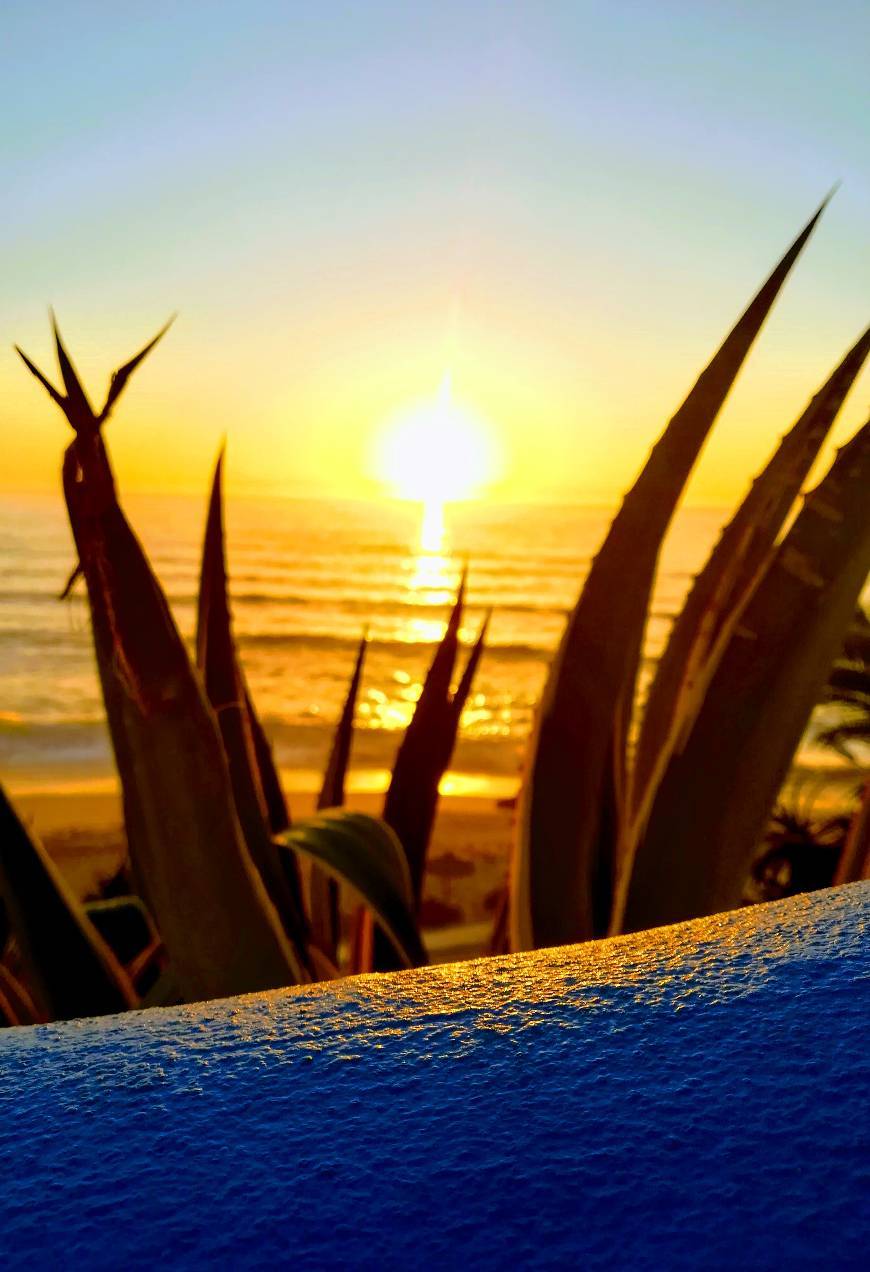 Lugar Praia dos Pescadores