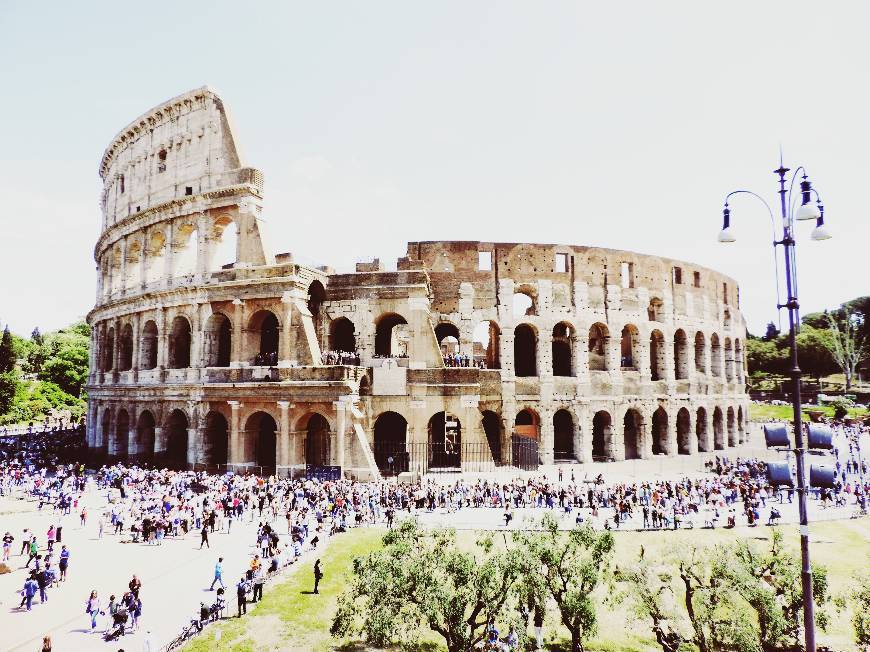 Place Coliseo de Roma