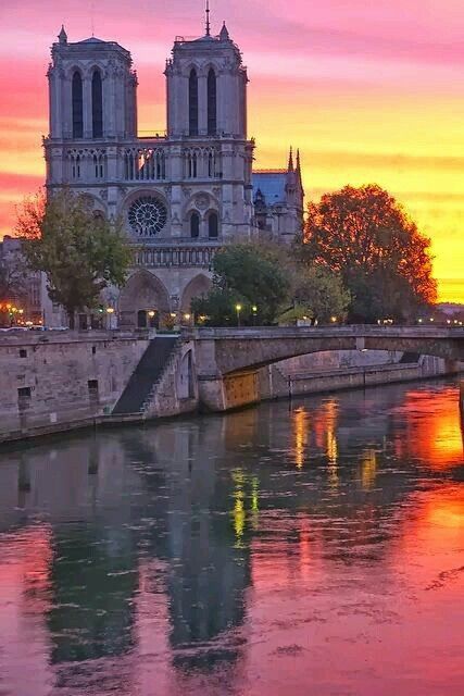 Lugar Catedral de Notre Dame