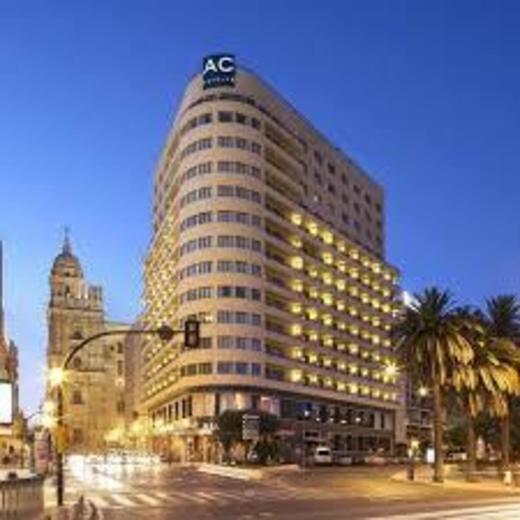 Hotel Málaga Palacio