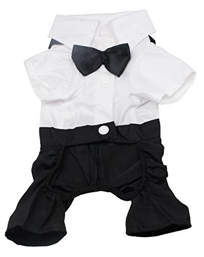 Social QiCheng & LYS Ropa para Perros Traje Elegante con Estilo de Corbata