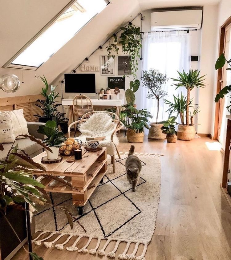 Social Boho 