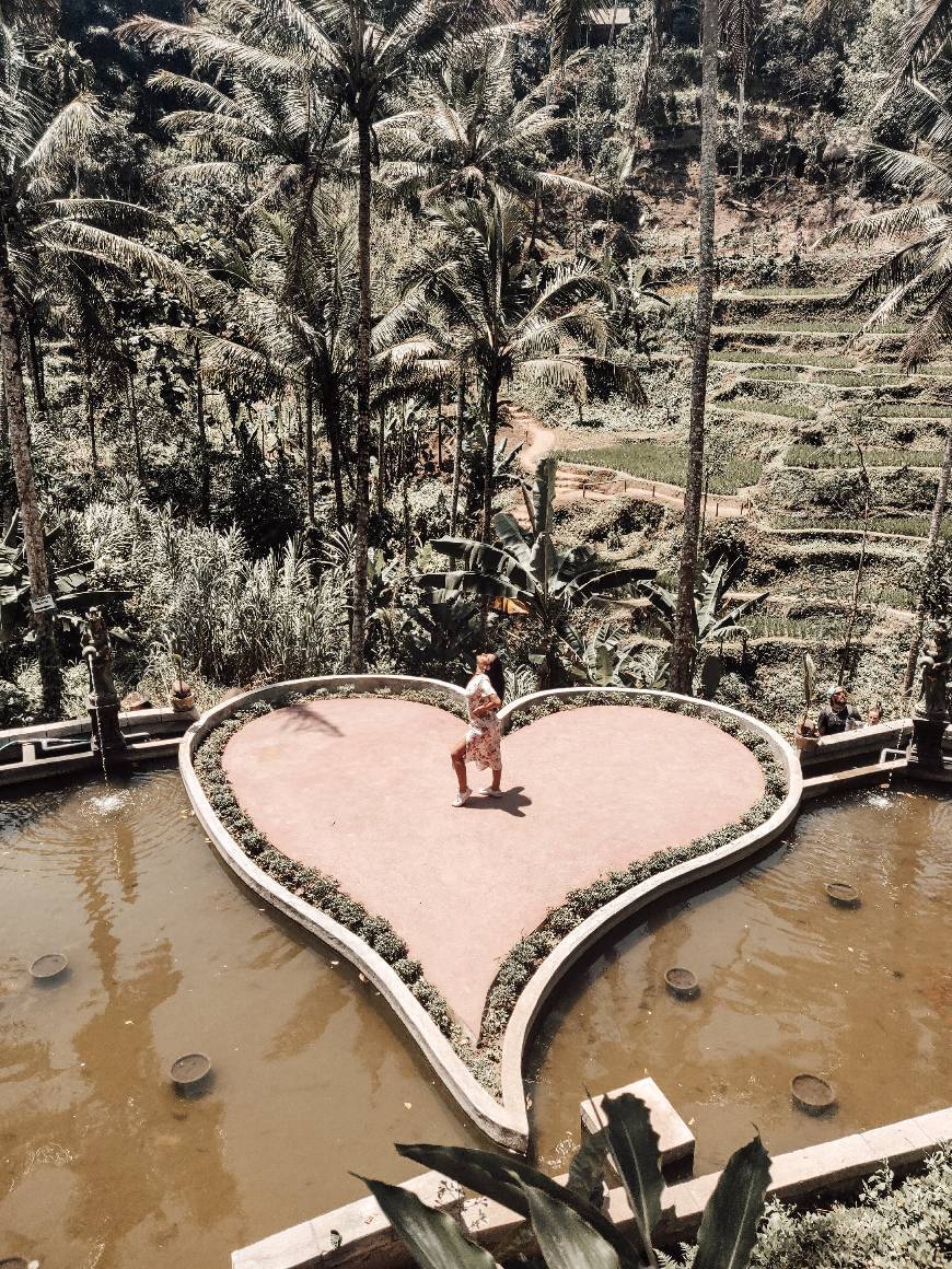 Lugar Tegallalang Rice Terrace