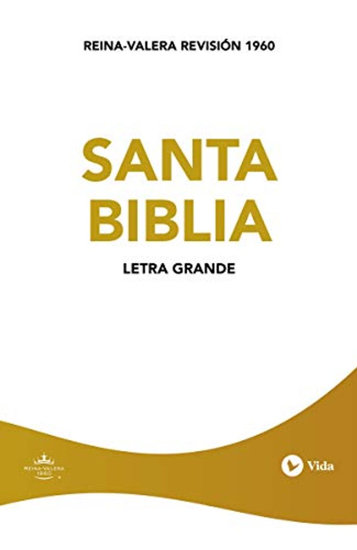 Libro Rvr60 Santa Biblia -Edicion Economica Letra Grande