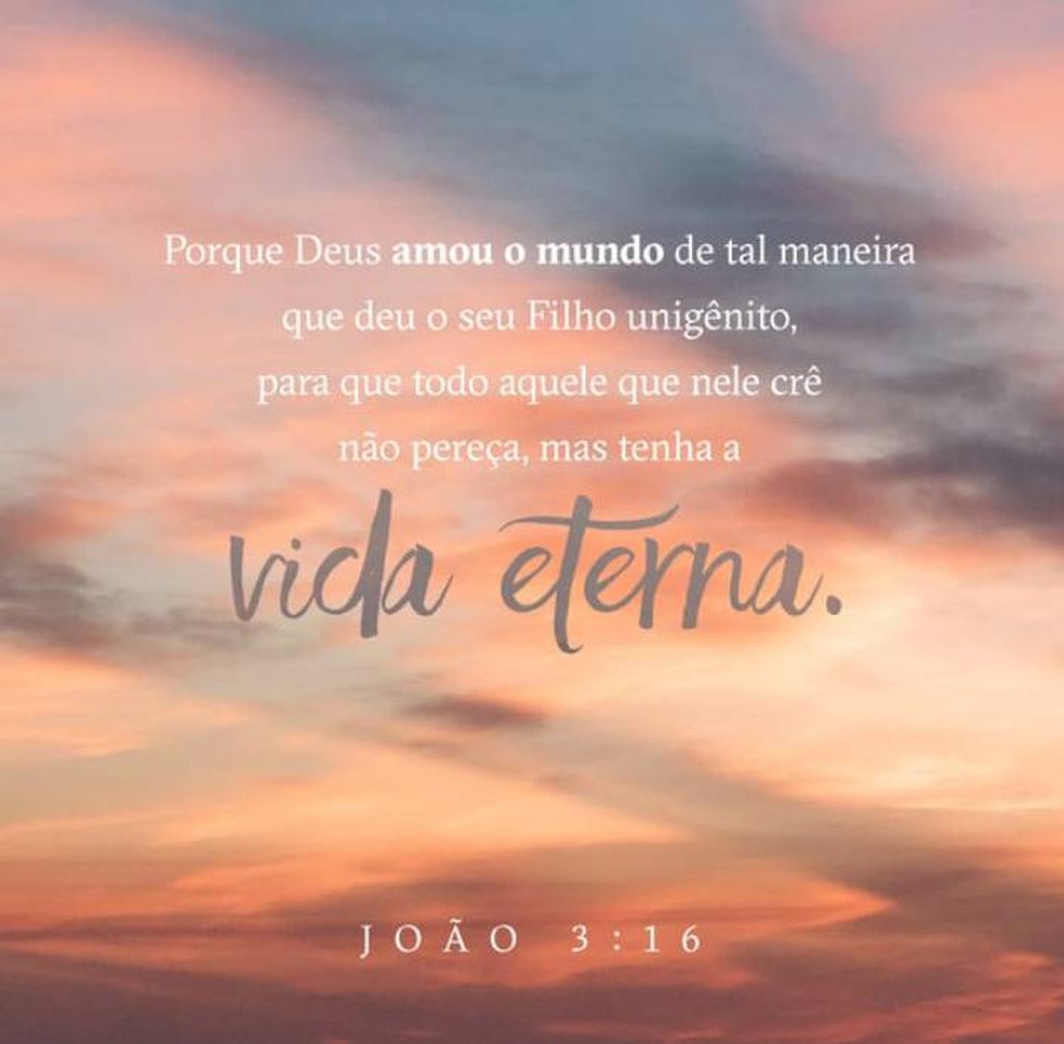 Social O maior amor. 