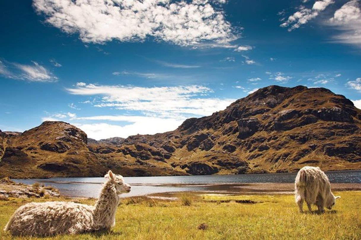 Lugar Cajas