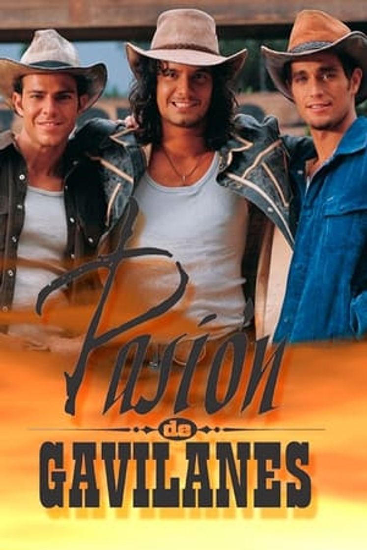 Serie Pasión de gavilanes