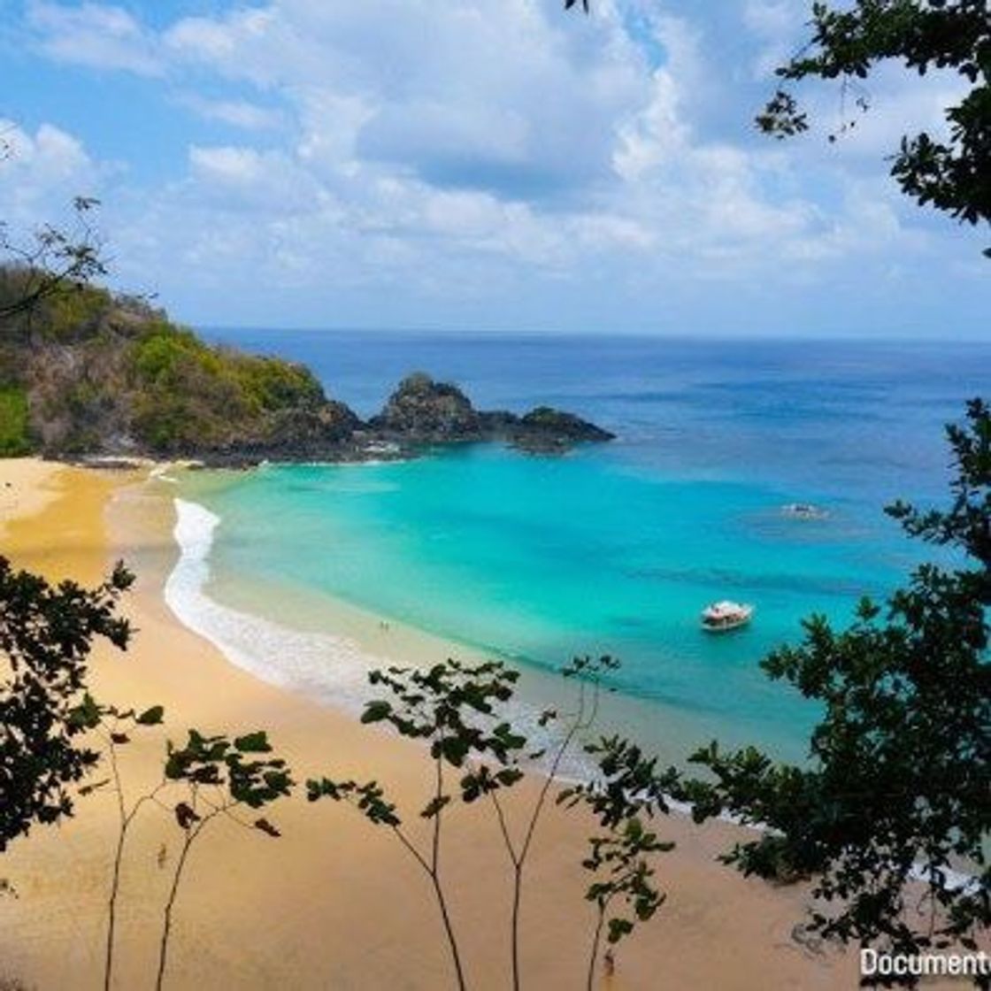 Moda FERNANDO DE NORONHA