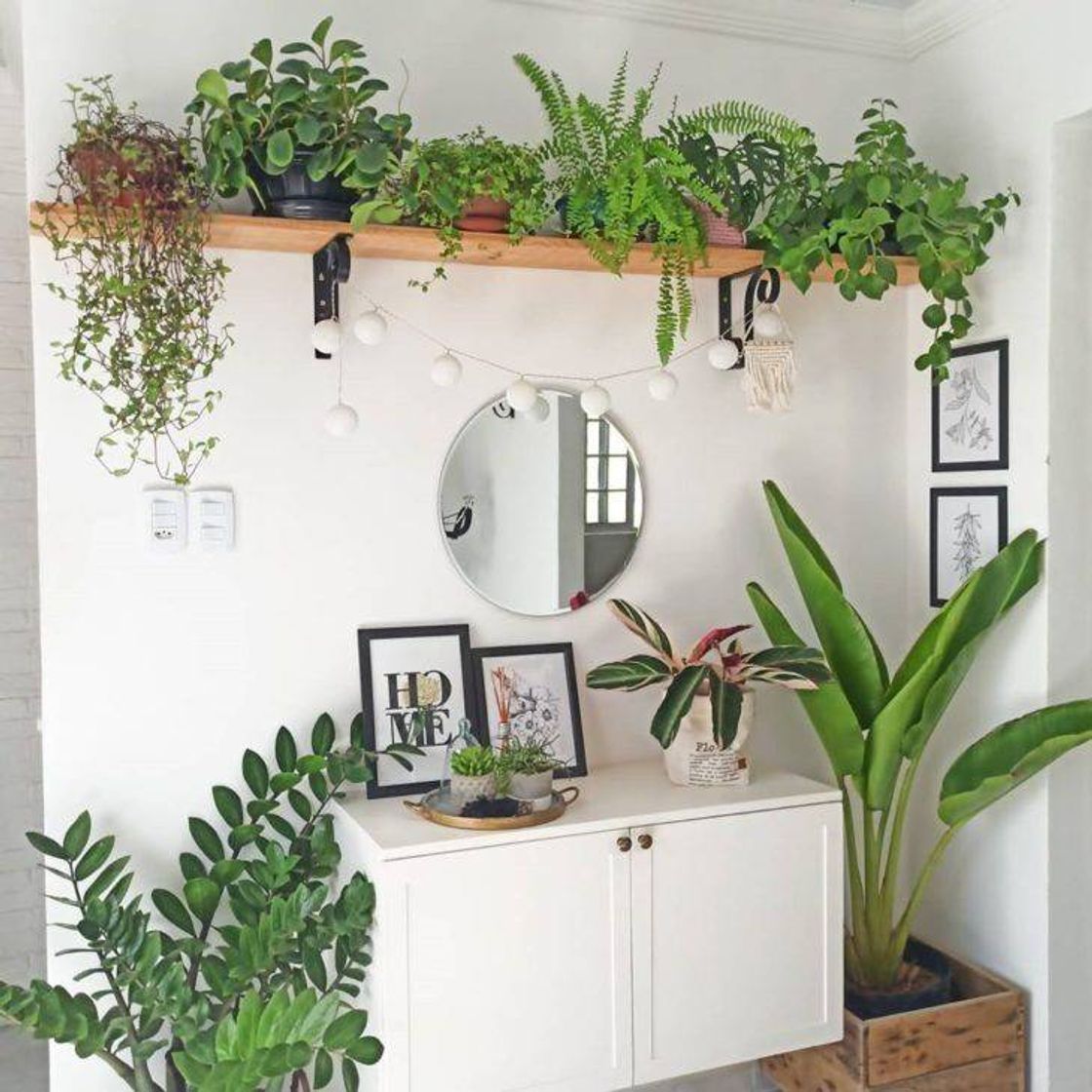 Fashion Decoração com plantas