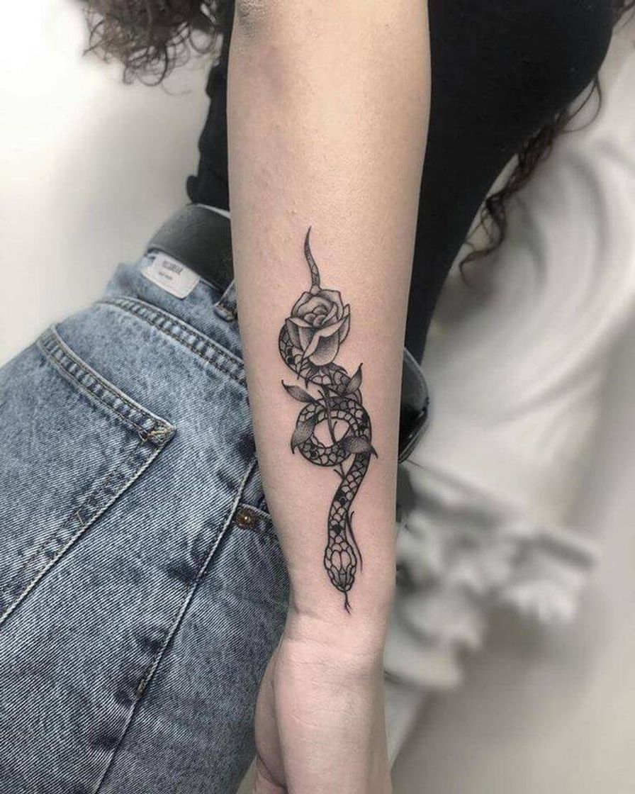 Social Tatuagens de cobra 