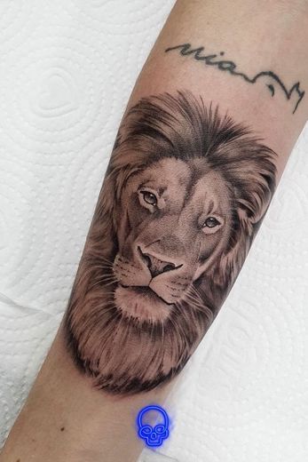 Leão 🦁 