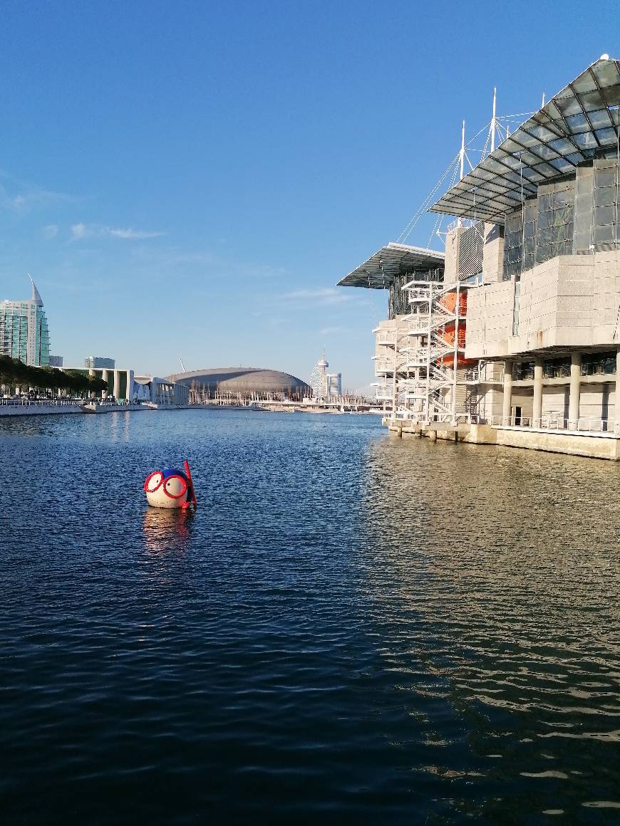 Place Oceanário de Lisboa