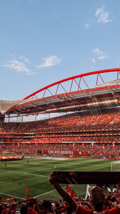 Moda SL Benfica: Site Oficial do Sport Lisboa e Benfica