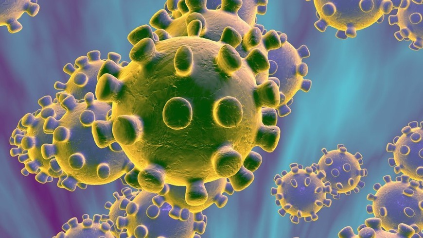 Coronavirus - Wikipedia