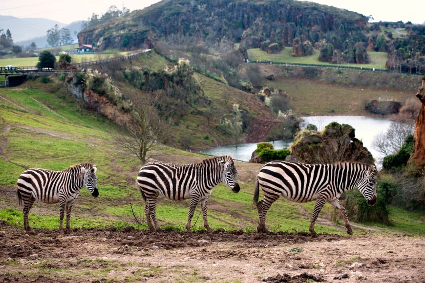 Place Parque de la Naturaleza de Cabárceno