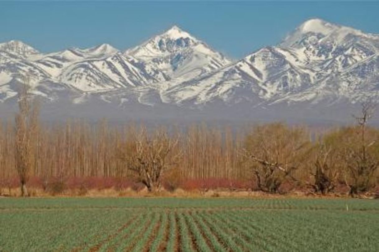 Place Mendoza