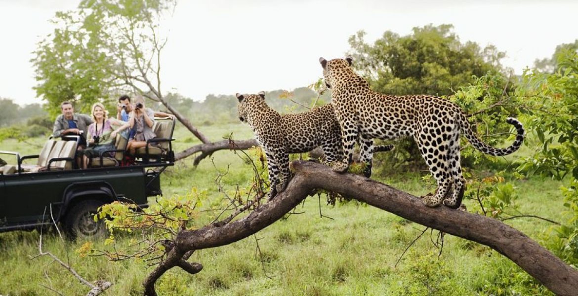 Place Parque nacional Kruger