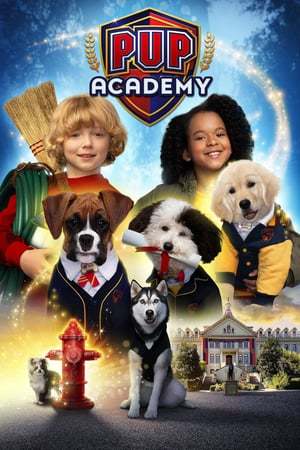 Serie Escuela de cachorros