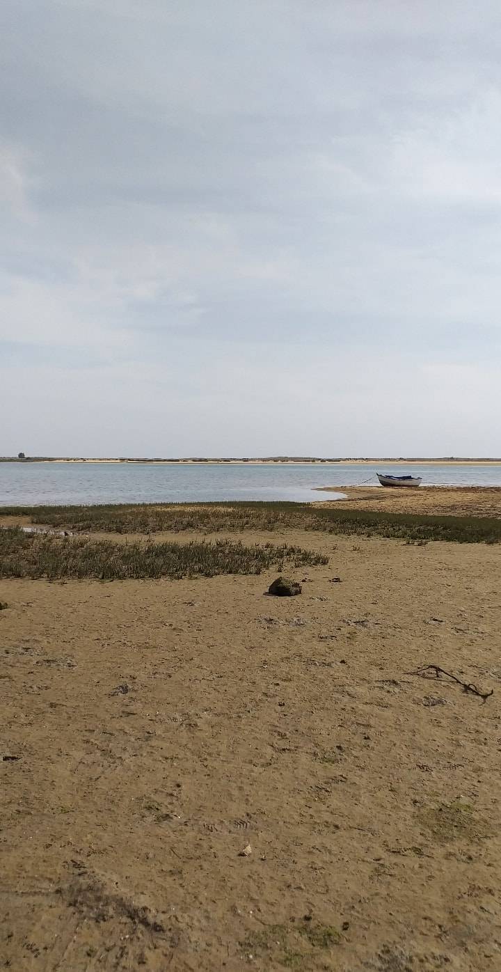 Lugar Ria Formosa