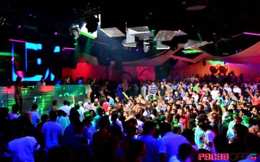 Pacha Ofir