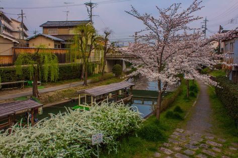 Place Jikkokubune Canal Cruise