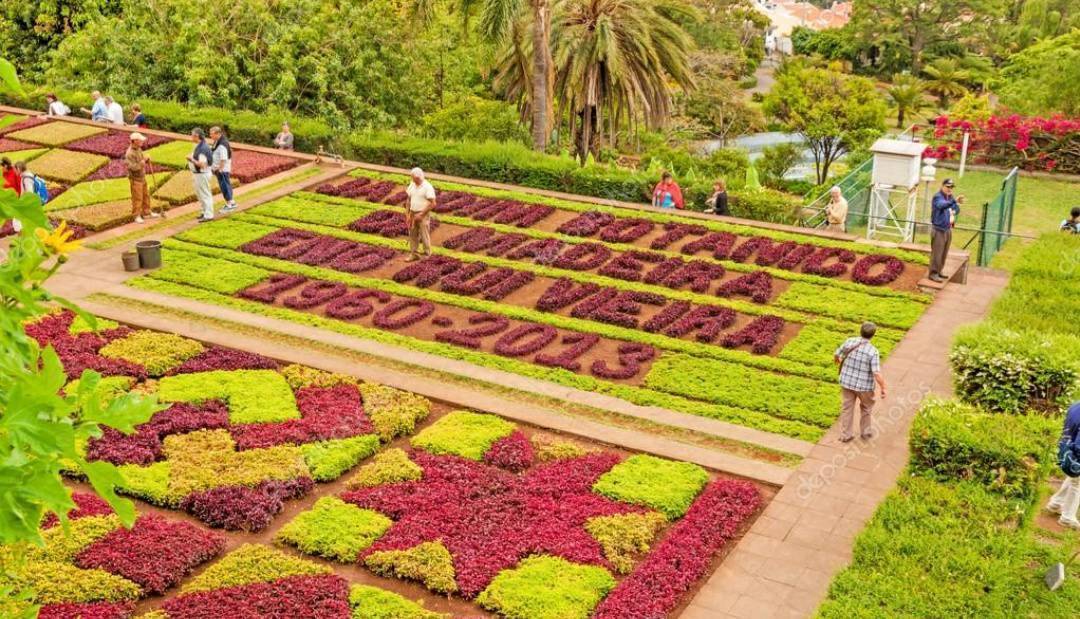 Lugar Jardín Botánico de Madeira