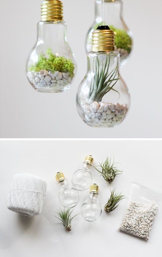 Social Lâmpada de plantas