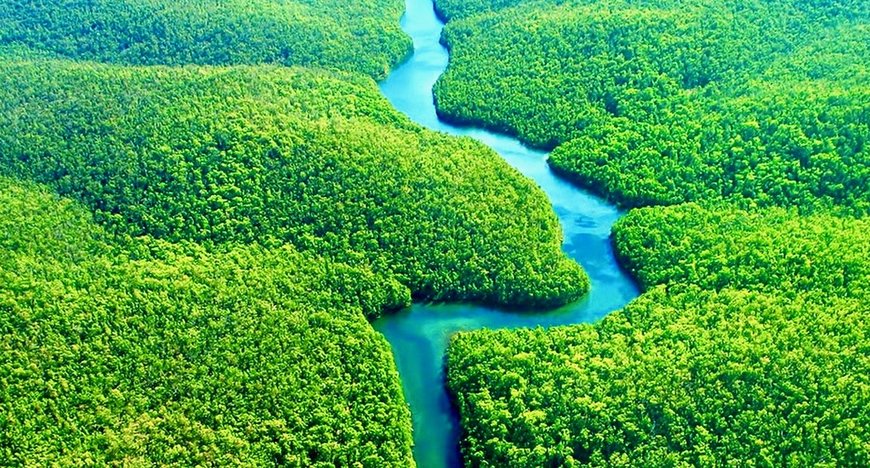 Place Amazonia