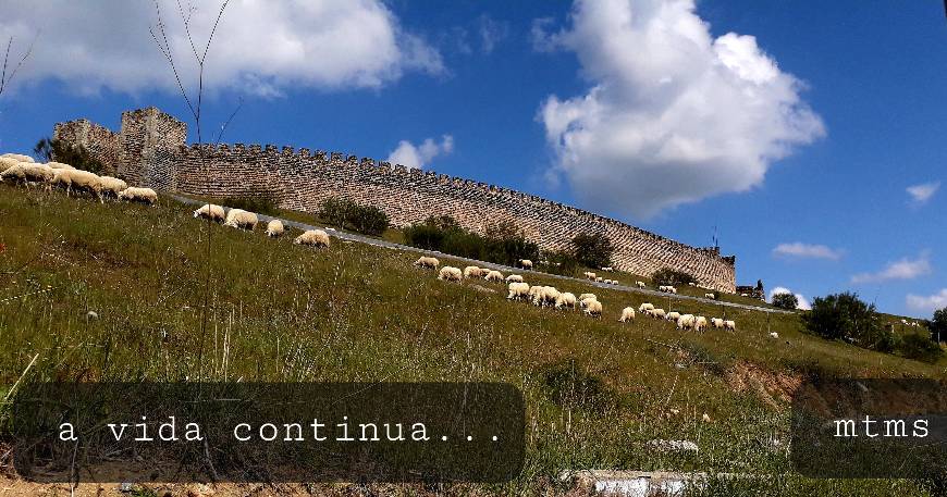 A vida continua 