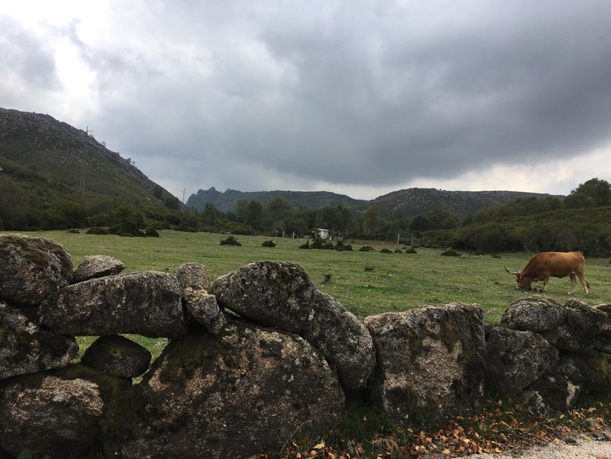 Lugar Peneda-Gerês National Park